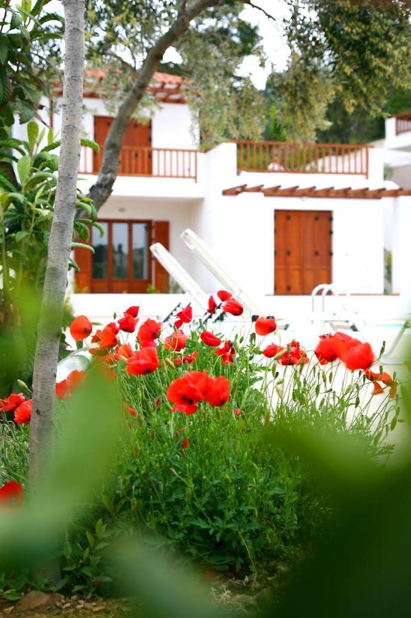 Skopelos Summer Homes Exteriér fotografie