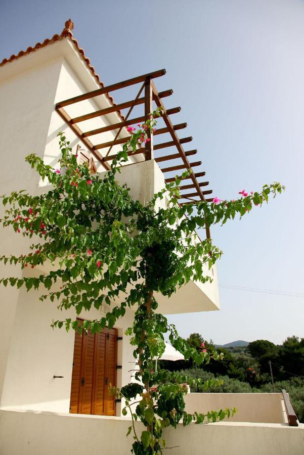 Skopelos Summer Homes Exteriér fotografie